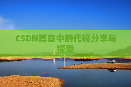 CSDN博客中的代码分享与探索